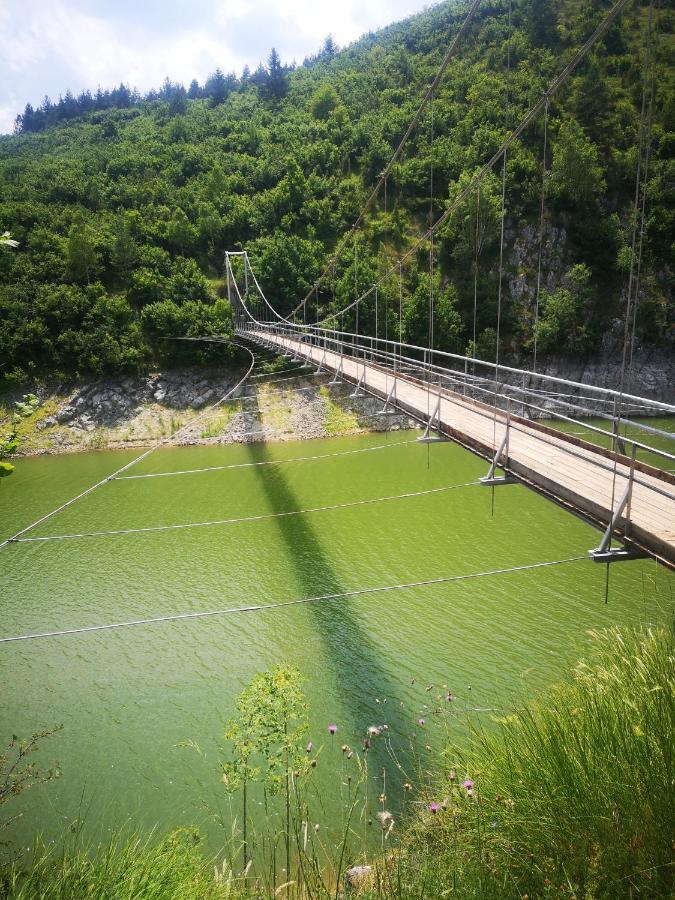谢尼察Drveni Raj Uvac公寓 外观 照片