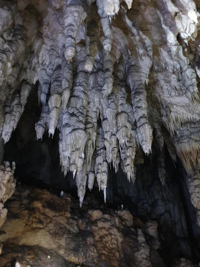 谢尼察Drveni Raj Uvac公寓 外观 照片