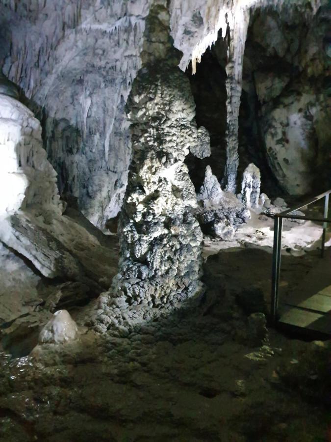 谢尼察Drveni Raj Uvac公寓 外观 照片